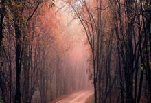 清华大学简介及图片,清华大学学校简介