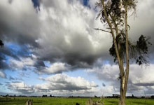 浙江杭州高三复读学校有哪些,浙江杭州高考复读学校排名