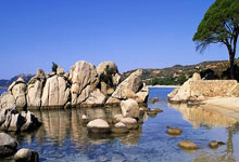 官窑职业技术学院是大专吗,官窑技术贸易职业学校